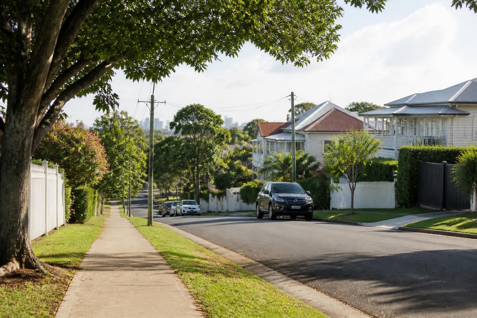 Leafy Brisbane street with tidy homes and relaxed atmosphere.