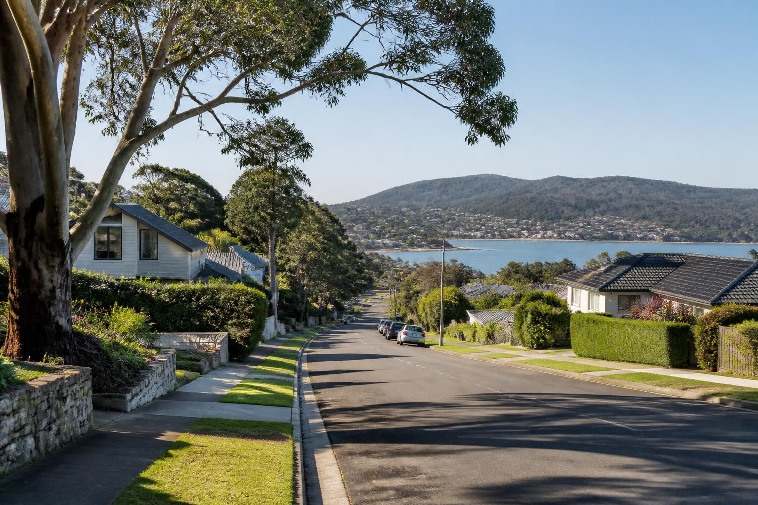 Leafy Central Coast suburb with tidy homes and calm light.
